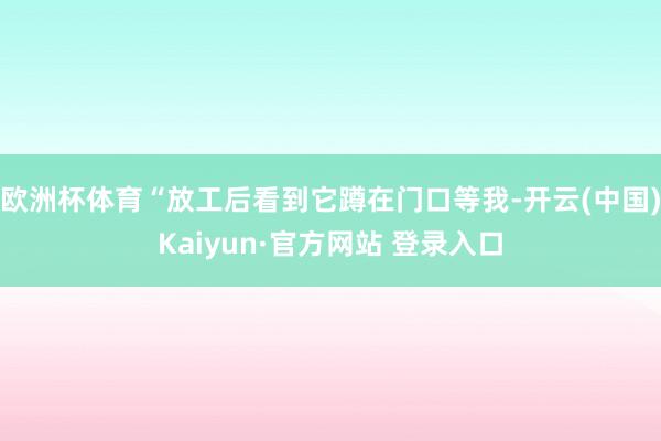 欧洲杯体育“放工后看到它蹲在门口等我-开云(中国)Kaiyun·官方网站 登录入口