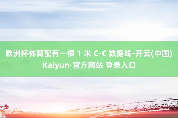 欧洲杯体育配有一根 1 米 C-C 数据线-开云(中国)Kaiyun·官方网站 登录入口