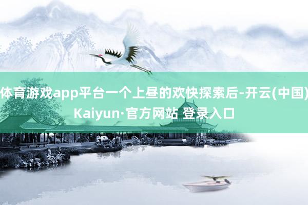 体育游戏app平台一个上昼的欢快探索后-开云(中国)Kaiyun·官方网站 登录入口