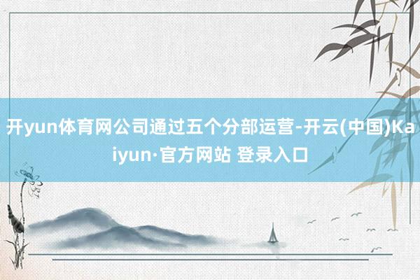 开yun体育网公司通过五个分部运营-开云(中国)Kaiyun·官方网站 登录入口