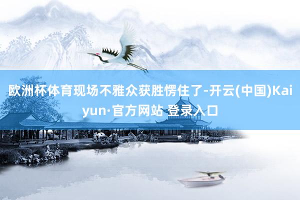 欧洲杯体育现场不雅众获胜愣住了-开云(中国)Kaiyun·官方网站 登录入口