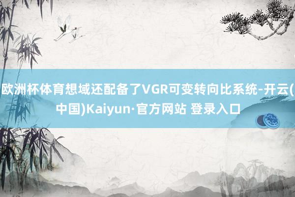 欧洲杯体育想域还配备了VGR可变转向比系统-开云(中国)Kaiyun·官方网站 登录入口