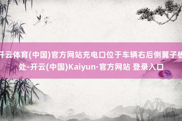 开云体育(中国)官方网站充电口位于车辆右后侧翼子板处-开云(中国)Kaiyun·官方网站 登录入口
