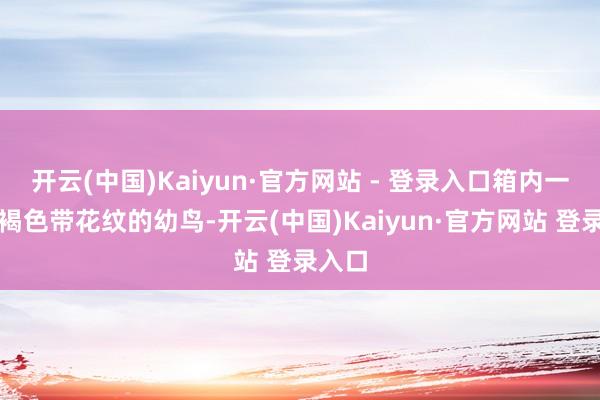 开云(中国)Kaiyun·官方网站 - 登录入口箱内一只黑褐色带花纹的幼鸟-开云(中国)Kaiyun·官方网站 登录入口