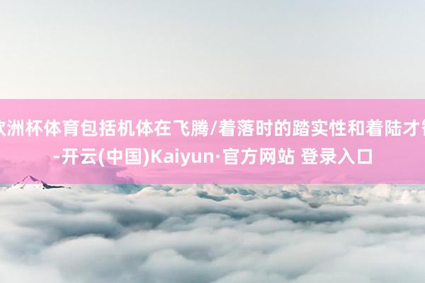 欧洲杯体育包括机体在飞腾/着落时的踏实性和着陆才智-开云(中国)Kaiyun·官方网站 登录入口