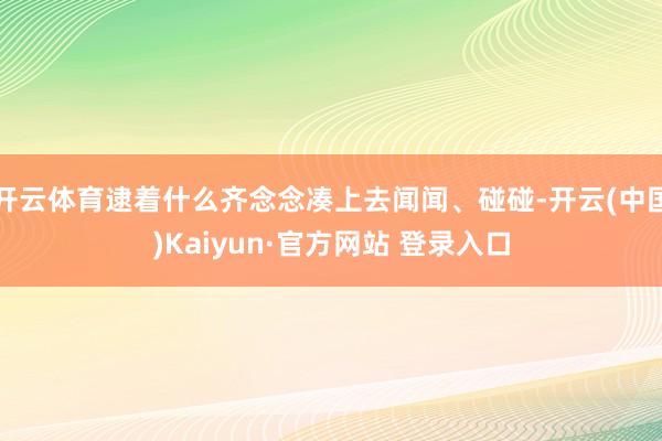 开云体育逮着什么齐念念凑上去闻闻、碰碰-开云(中国)Kaiyun·官方网站 登录入口