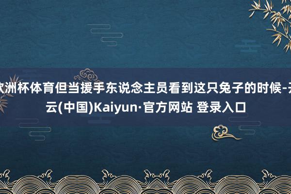 欧洲杯体育但当援手东说念主员看到这只兔子的时候-开云(中国)Kaiyun·官方网站 登录入口