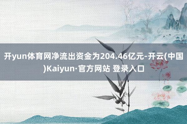 开yun体育网净流出资金为204.46亿元-开云(中国)Kaiyun·官方网站 登录入口