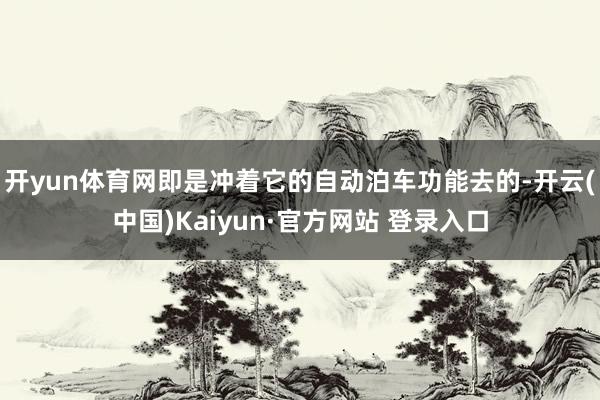 开yun体育网即是冲着它的自动泊车功能去的-开云(中国)Kaiyun·官方网站 登录入口