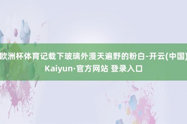 欧洲杯体育记载下玻璃外漫天遍野的粉白-开云(中国)Kaiyun·官方网站 登录入口