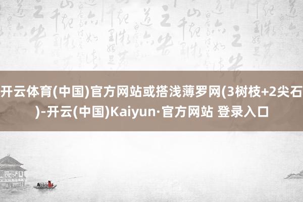 开云体育(中国)官方网站或搭浅薄罗网(3树枝+2尖石)-开云(中国)Kaiyun·官方网站 登录入口