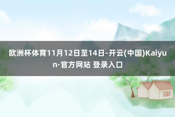 欧洲杯体育 11月12日至14日-开云(中国)Kaiyun·官方网站 登录入口