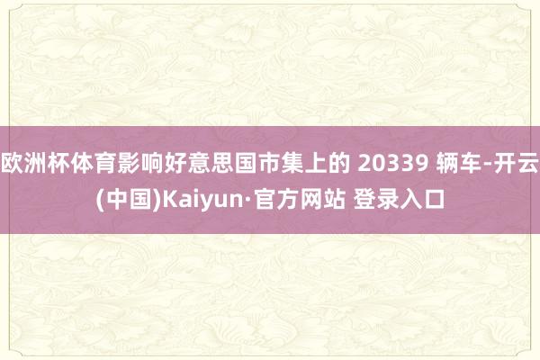 欧洲杯体育影响好意思国市集上的 20339 辆车-开云(中国)Kaiyun·官方网站 登录入口
