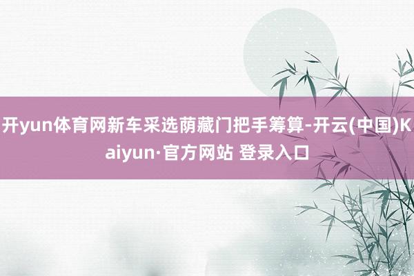 开yun体育网新车采选荫藏门把手筹算-开云(中国)Kaiyun·官方网站 登录入口