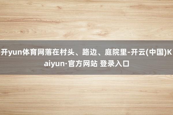 开yun体育网落在村头、路边、庭院里-开云(中国)Kaiyun·官方网站 登录入口