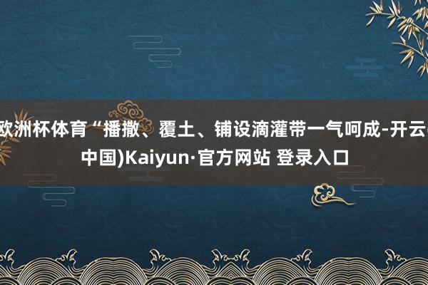 欧洲杯体育“播撒、覆土、铺设滴灌带一气呵成-开云(中国)Kaiyun·官方网站 登录入口